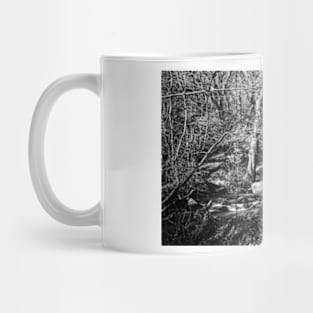 Becky Falls, Devon. Mug